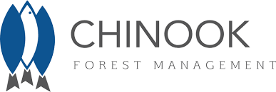 Chinook Forest Management